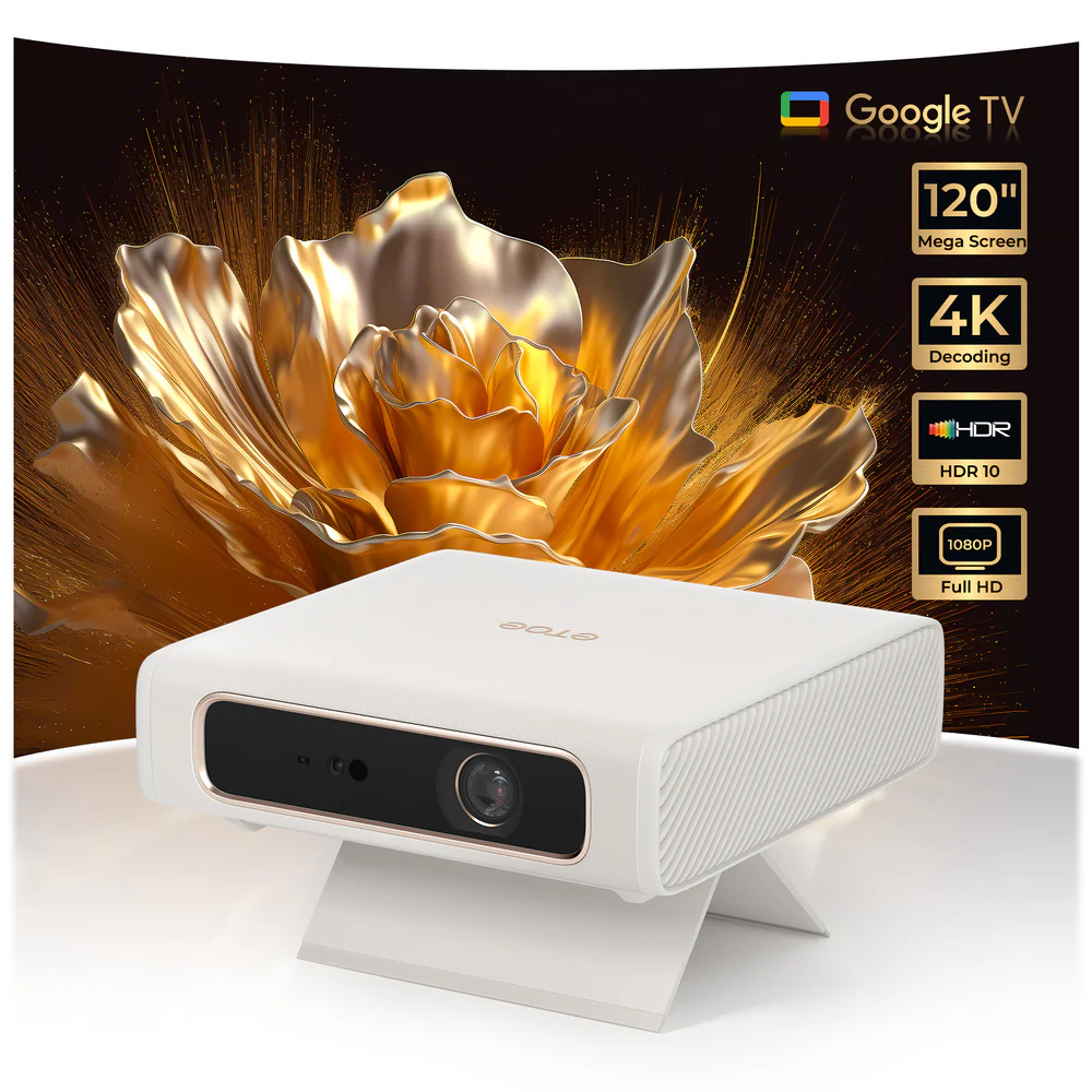 ETOEDolphin2Projector 6